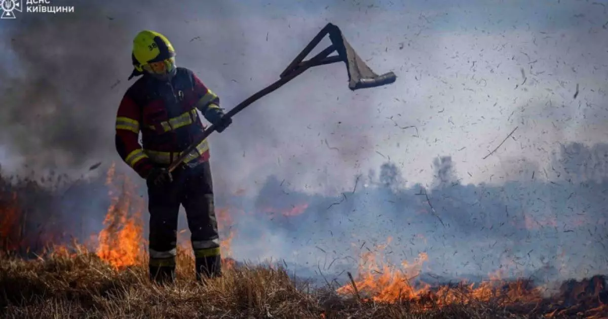 На Київщині загоряння сухої трави призвело до трагедії: загинула жінка, чоловік отримав опіки