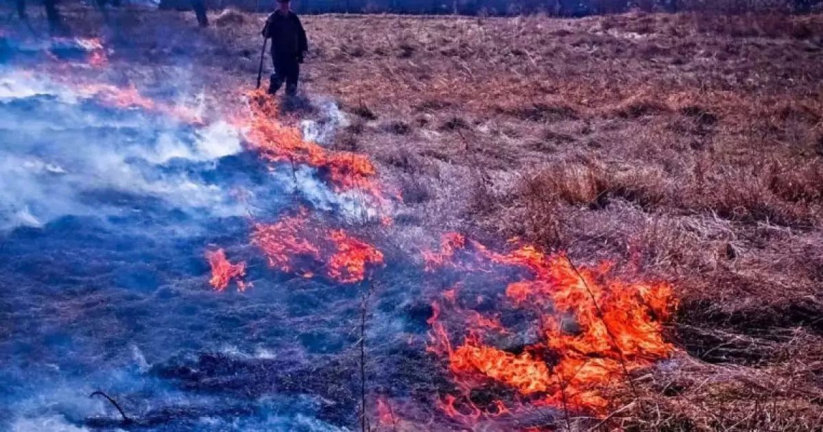 На Київщині затримали палійку сухостою: які штрафи загрожують порушникам