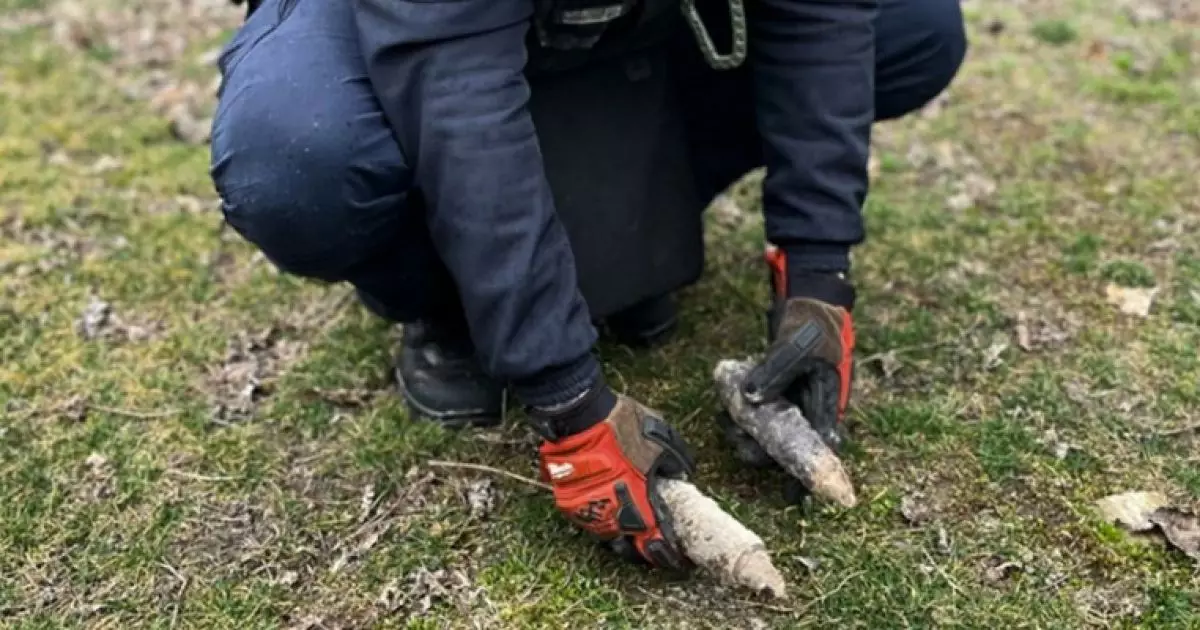 Шокуюча знахідка на городі: артснаряди часів Другої світової у Київській області