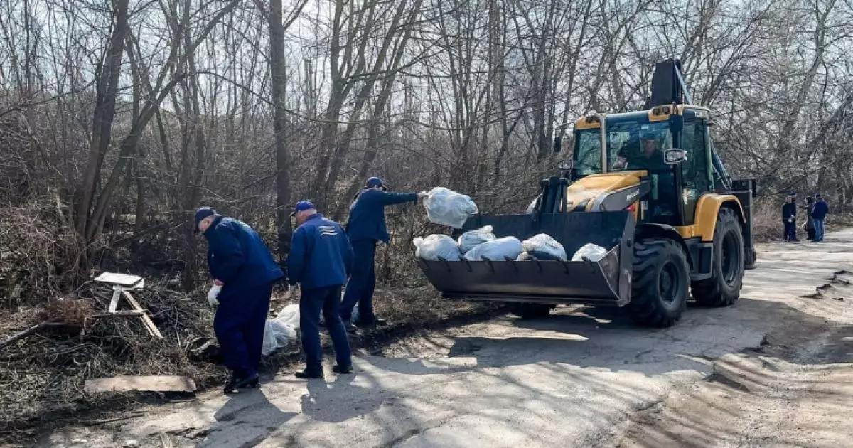 Київська толока на честь Всесвітнього дня водних ресурсів: Очистили територію біля струмка Вершинка