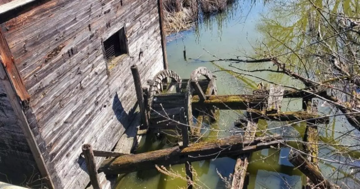 Активісти розпочали порятунок останнього дерев’яного водяного млина Київщини