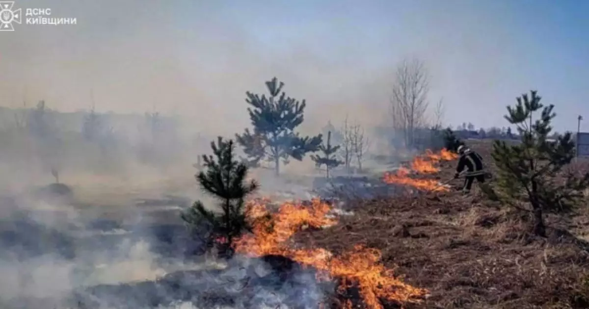 Пожежа через випалювання трави на Київщині: як рятувальники врятували дітей