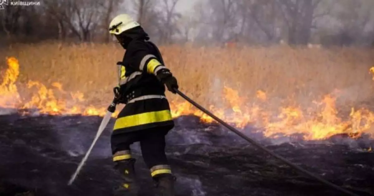 Пожежа в Броварському районі: вогонь ледь не знищив будівлі
