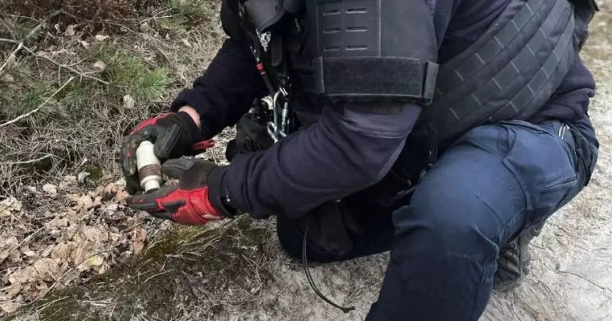 У лісі на Київщині виявили небезпечний гранатометний постріл