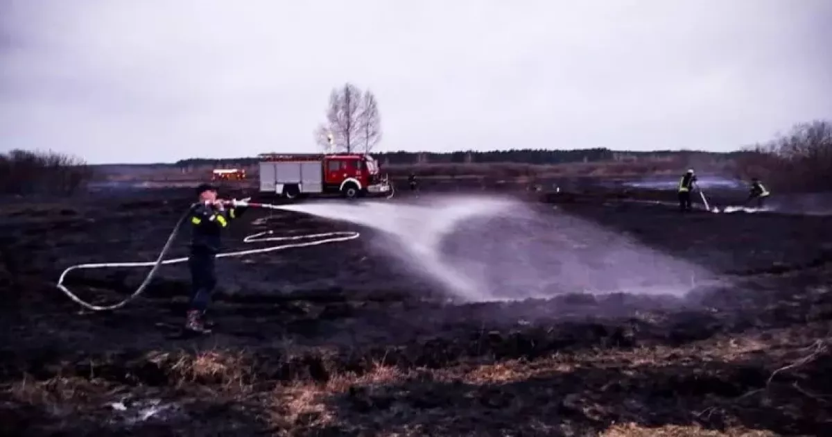 Пожежі на Київщині: боротьба з торф'яними загоряннями триває другу добу