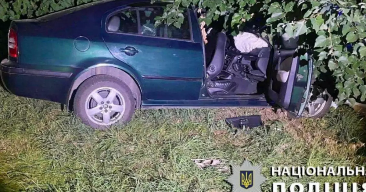 Смертельна ДТП під Києвом: водія ув'язнили на 7 років за загибель дитини