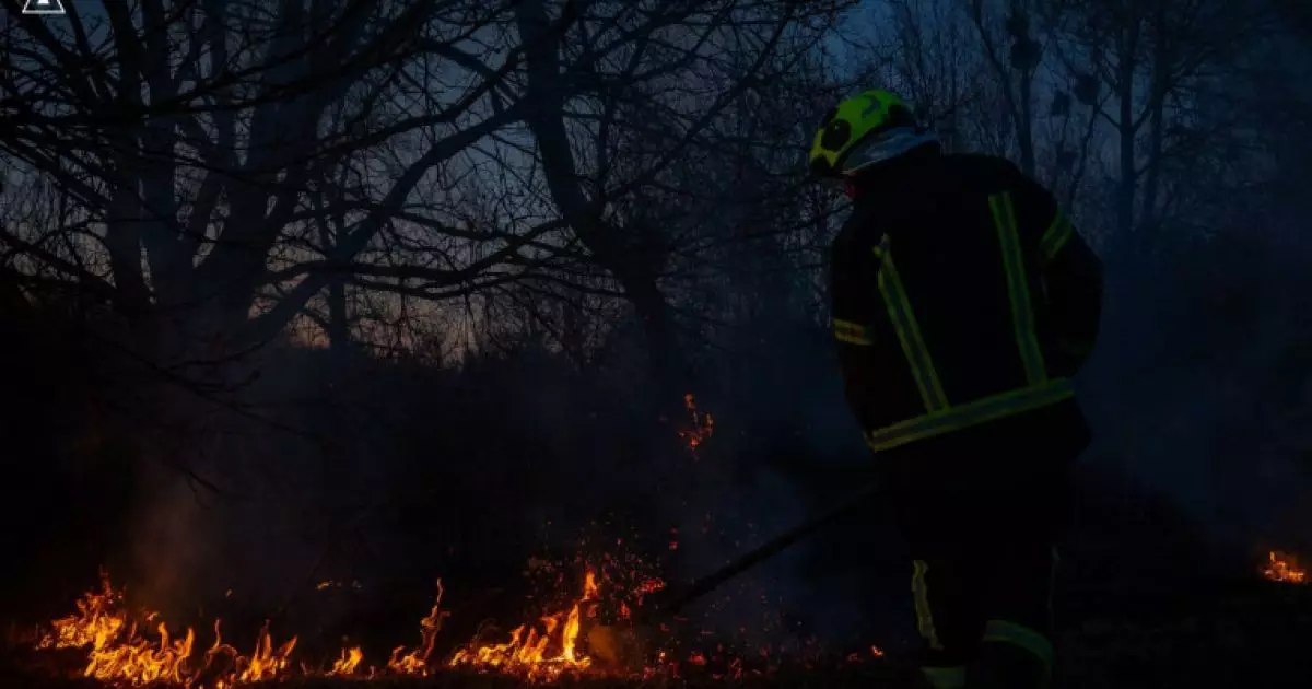 У столичному парку “Муромець” згорів гектар трави та дерев: що сталося 28 березня