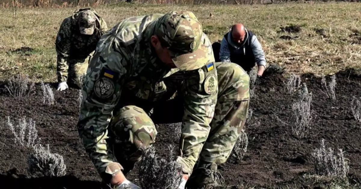 В Ірпені висадили лавандову галявину памʼяті загиблих мешканців
