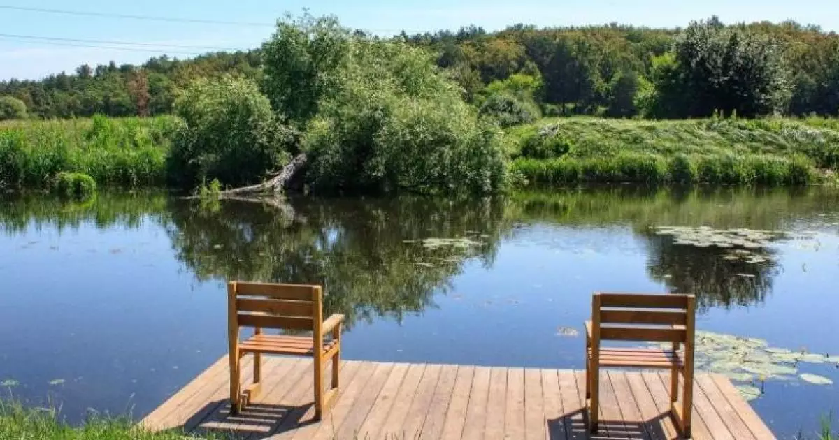 Екоакція в Ірпіні: як білі амури допоможуть очистити водойму Київщини