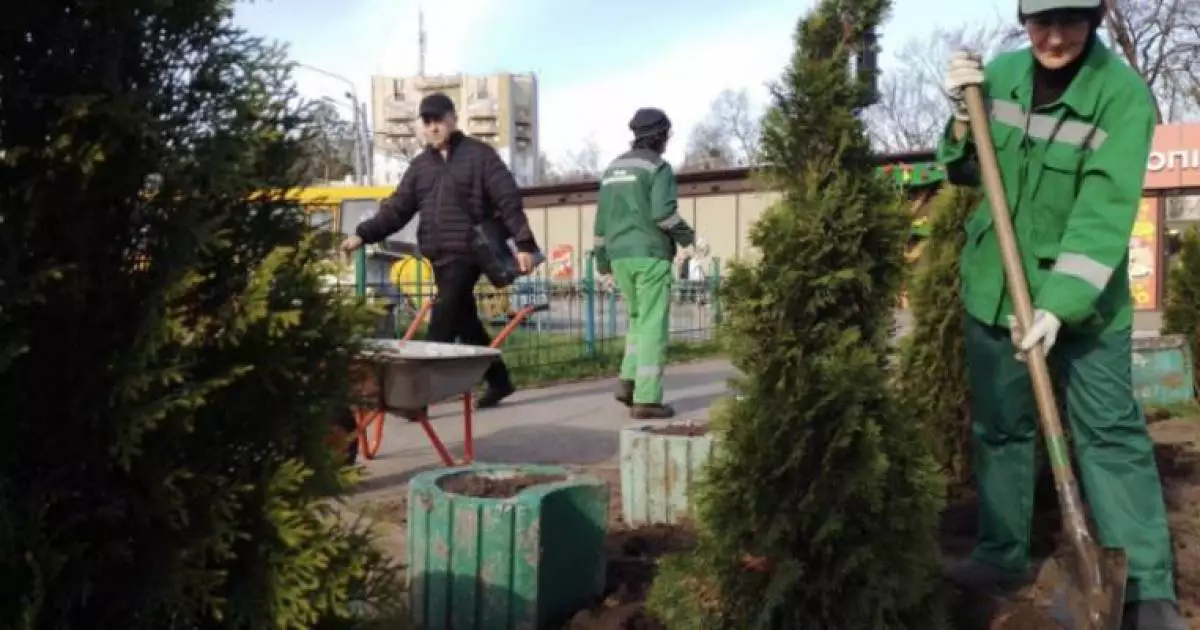 У столиці висадили сотні нових дерев і кущів: які саме та де