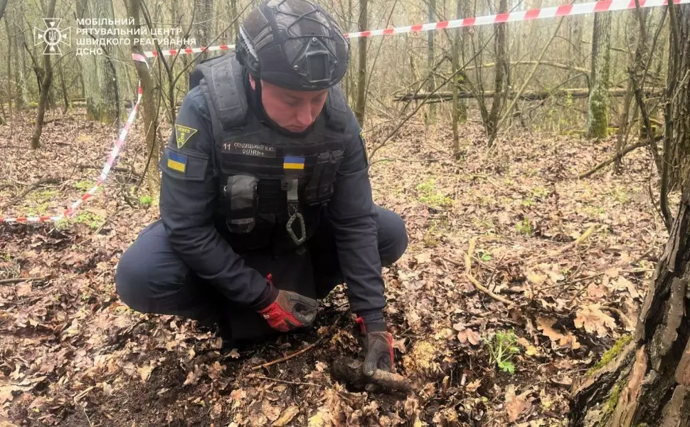 У лісі під Києвом знайшли бойову гранату: чому це небезпечно навіть через 80 років