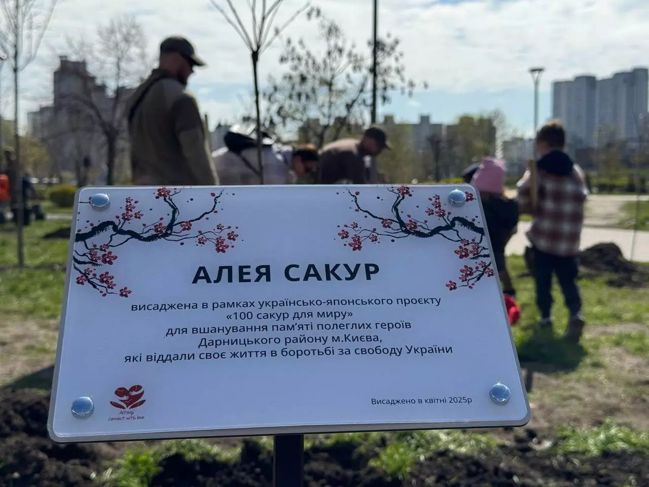 У Києві висадили 20 сакур: новий символ надії та миру