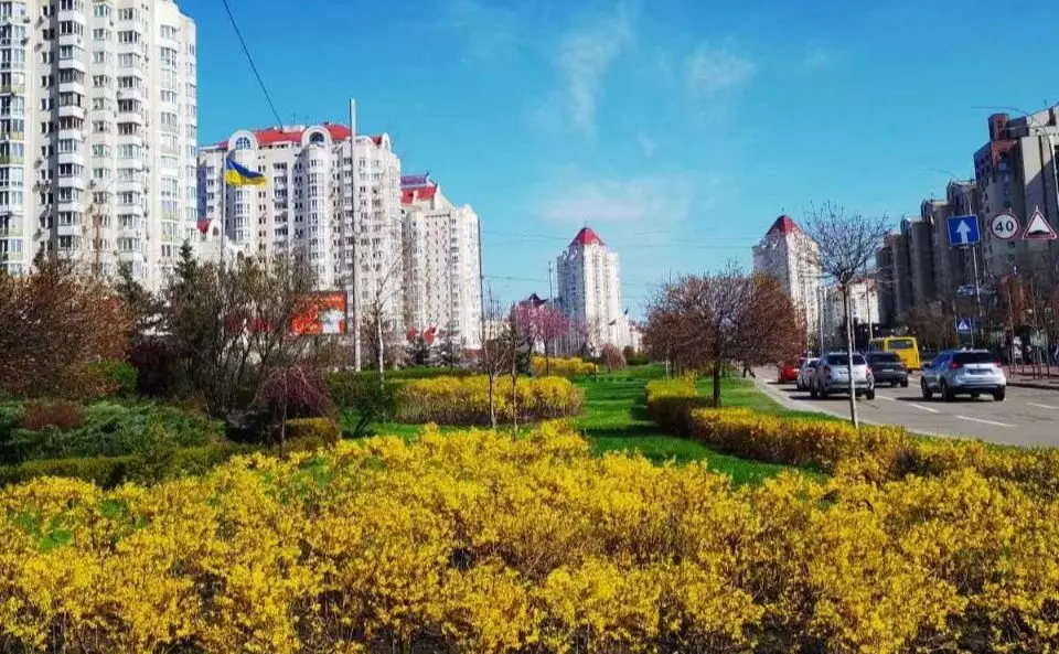Понад півтори тисячі кущів і дерев для озеленення Оболоні