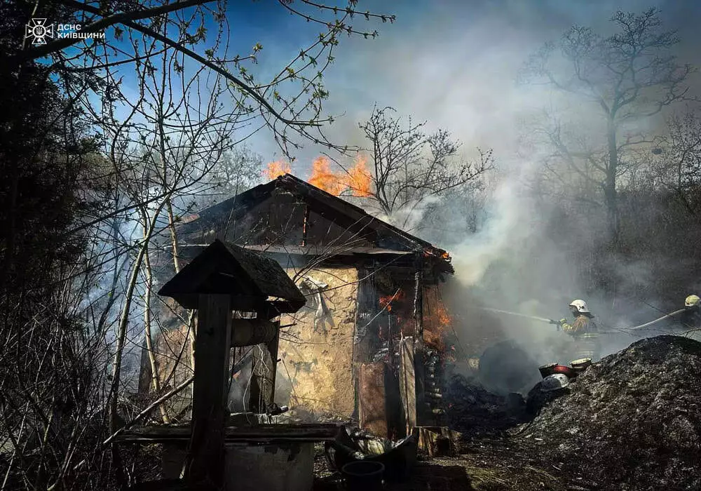 Пожежа через спалювання трави на Обухівщині: загинули 8 тварин