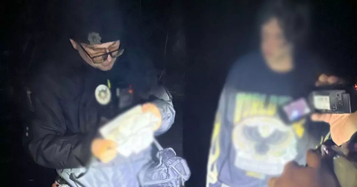 У Києві затримали наркодилерів у парку: що відомо про 18-річних хлопців