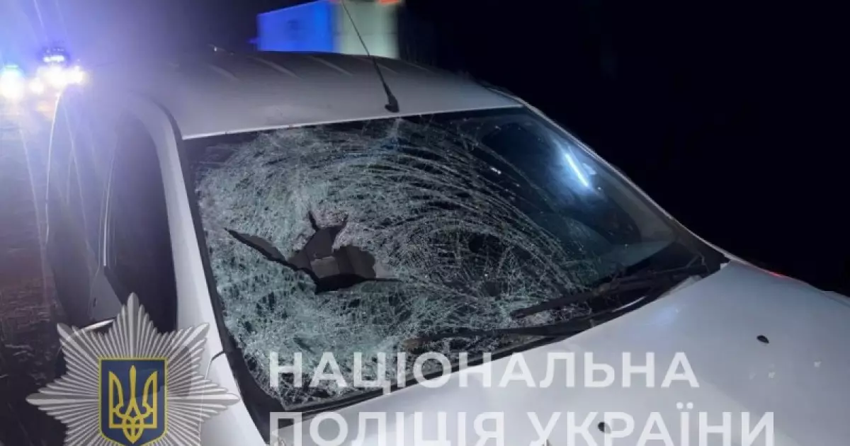 Смертельна ДТП на трасі Т-1012 під Києвом: загинув пішохід