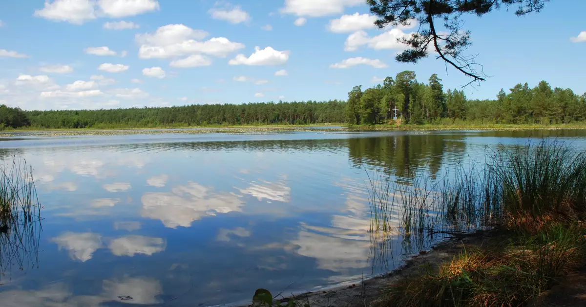 Тіло чоловіка знайшли у водоймі на Київщині: моторошні подробиці