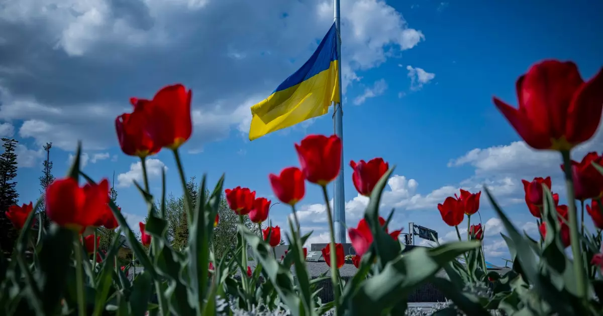 Весна розквітла у Бучі: тюльпани з Нідерландів прикрасили місто