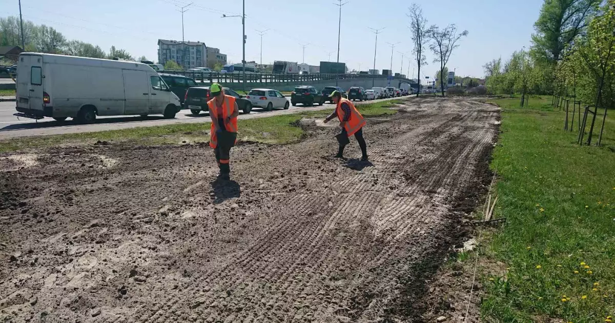 Столичне шосе у Києві перетворюють на квітучий луг: що змінюється