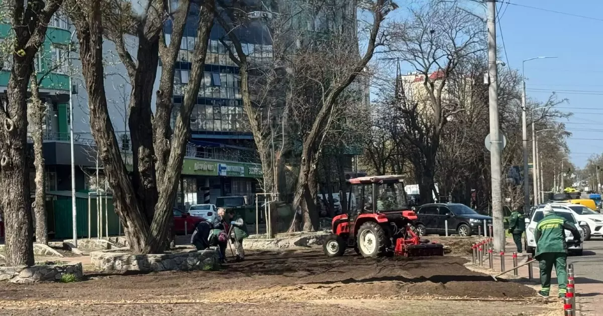 У Києві розквітне Столичне шосе: висадили луки та злаки