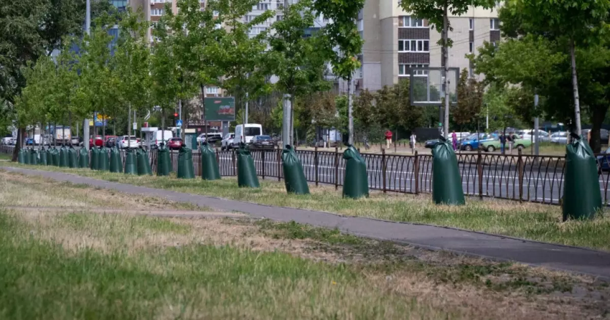 У Києві дерева поливають через торби: що це за нова система зрошення