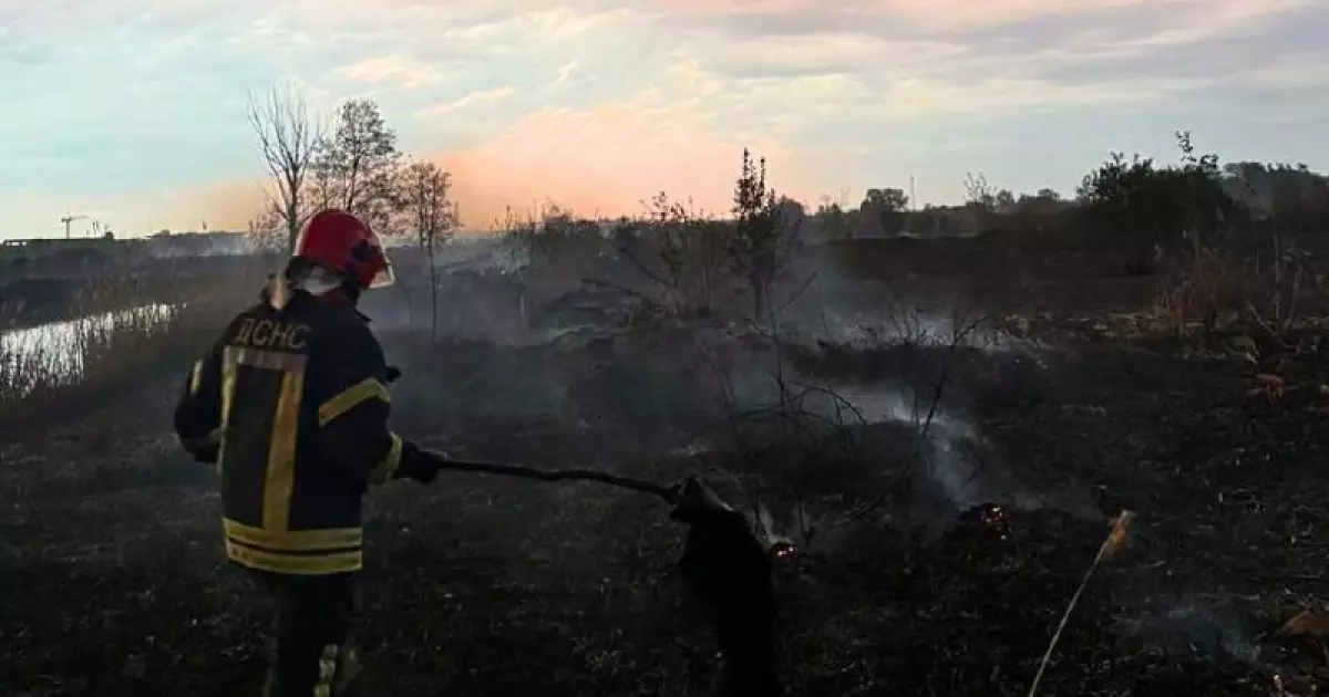Під Обуховом згоріло 45 гектарів трави: пожежу ліквідували