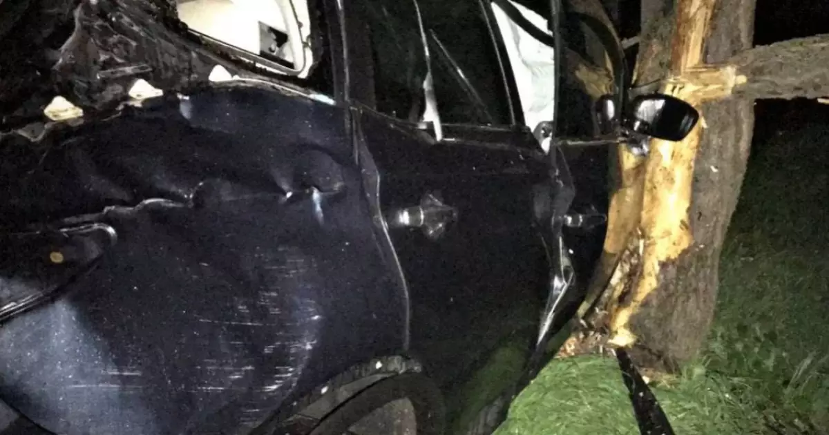 У Борисполі водій заснув за кермом Nissan Murano і врізався в дерево