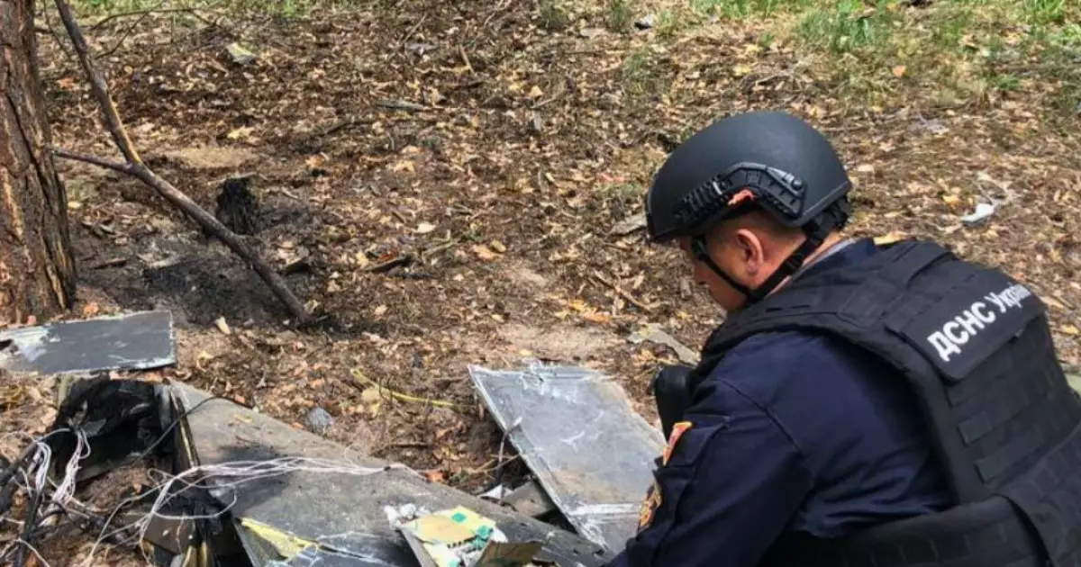 У лісі на Київщині люди знайшли уламки ворожого дрона «Герань-2»