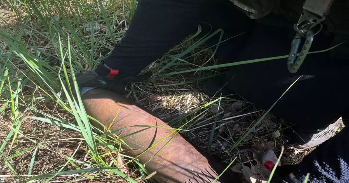На Бучанщині виявили міну «НОНА»: як діяли сапери ДСНС