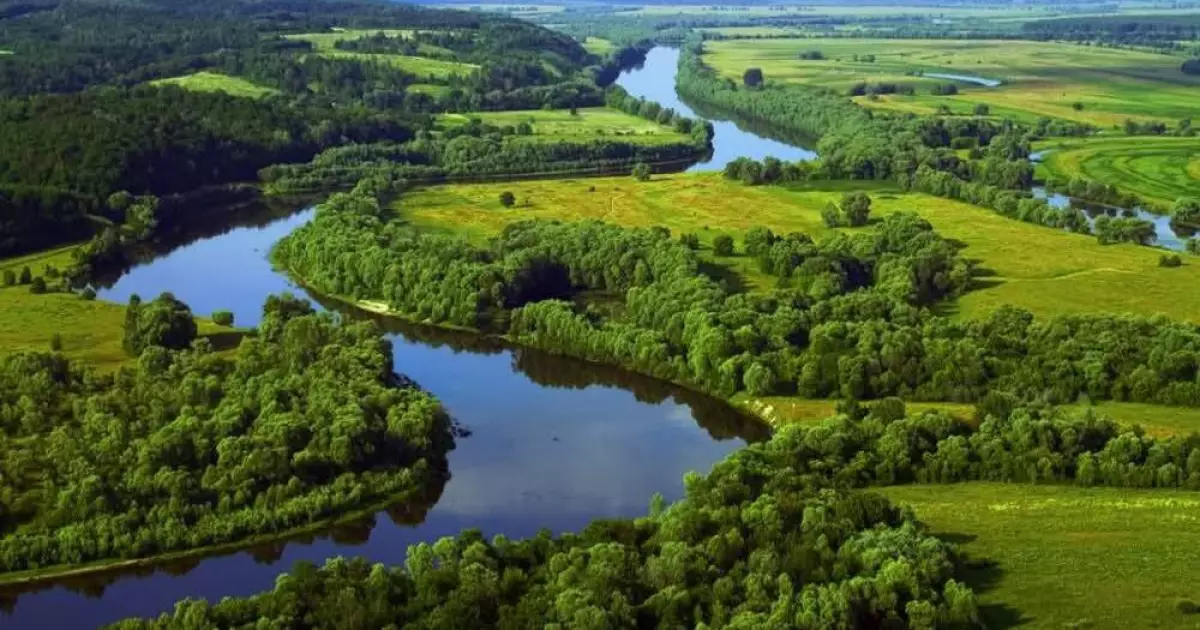Гирло Прип’яті отримає статус водно-болотного угіддя міжнародного значення