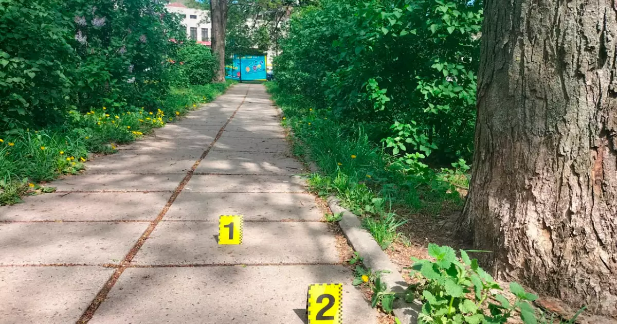 У Києві рецидивіст серед білого дня пограбував пенсіонерку: деталі справи