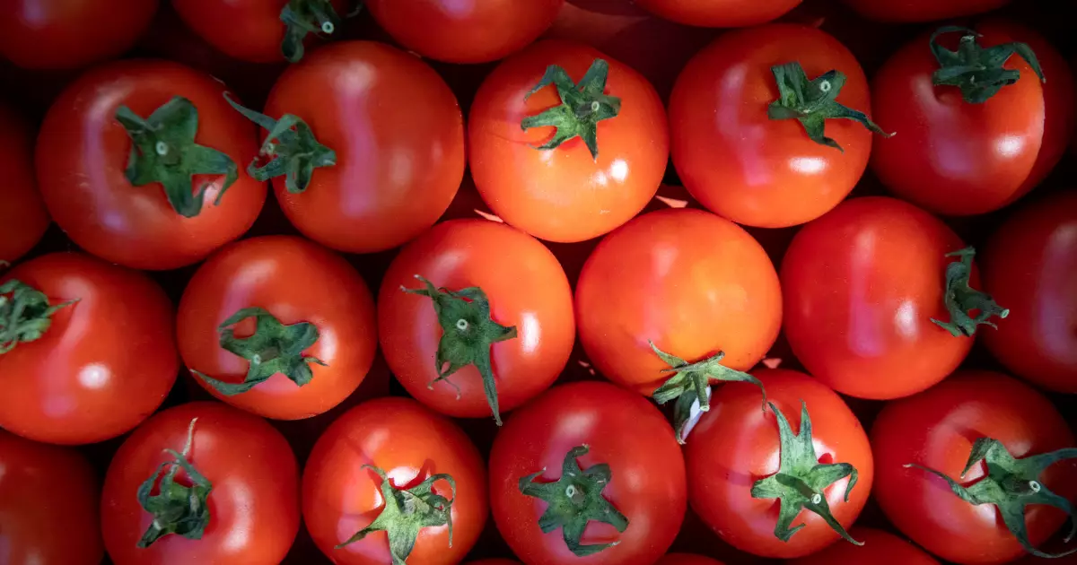 Сьогодні у Києві – фермерські ярмарки: де купити продукти вигідно