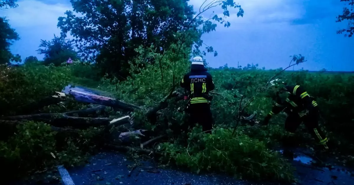 Буревій на Київщині: рятувальники з Білої Церкви рятували дороги
