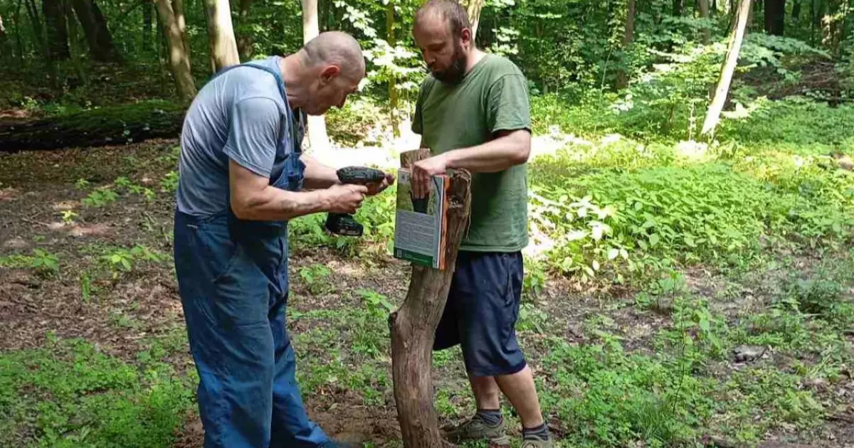 Нові екопросвітницькі таблички в Голосіївському парку: вивчення природи через знання