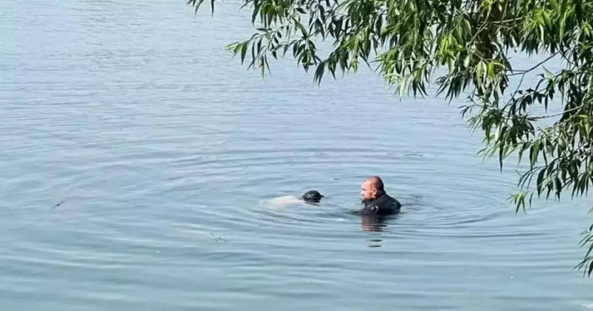 На озері Алмазному під час відпочинку потонув чоловік
