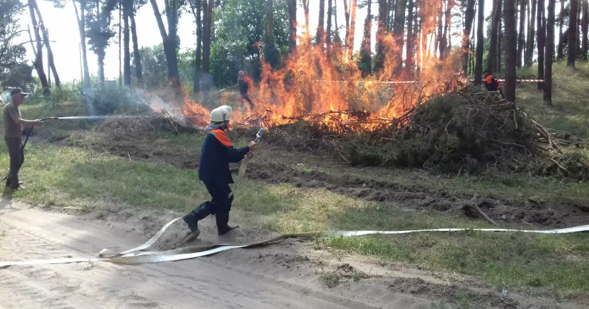 Нові заходи ДСНС: на Київщині збільшать кількість резервних команд для боротьби з лісовими пожежами