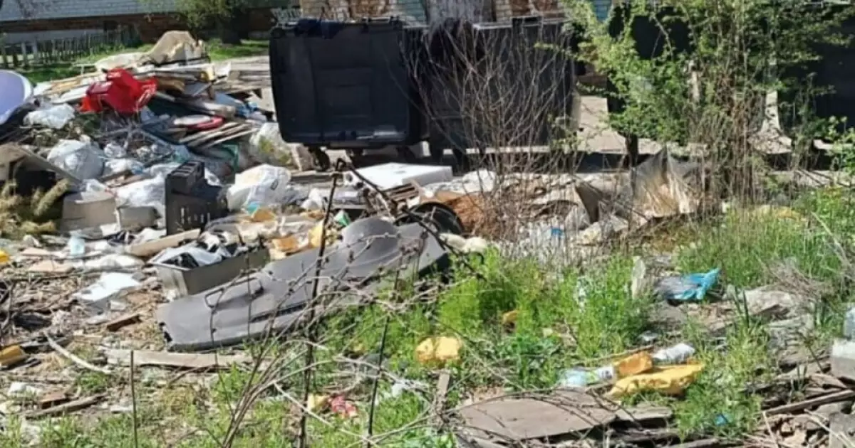 Порушення природоохоронного законодавства в Немішаївській громаді: що виявила перевірка