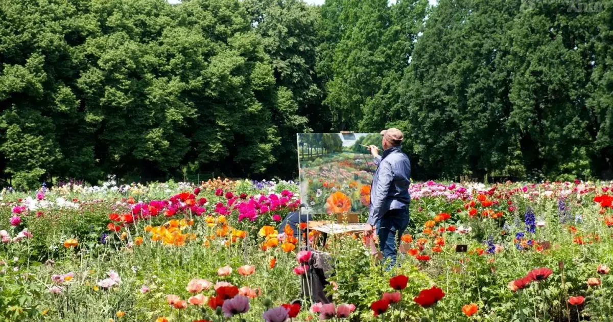 500 сортів ірисів зацвіли в ботанічному саду Києва: що варто побачити?