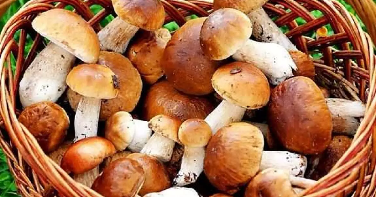 Як маринувати гриби з болгарським перцем, щоб здивувати гостей