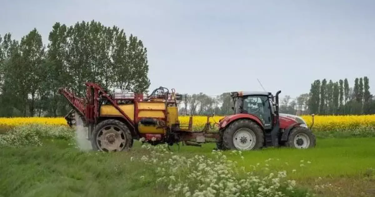 Земля в Україні різко подешевшала — перевір, скільки коштує гектар!