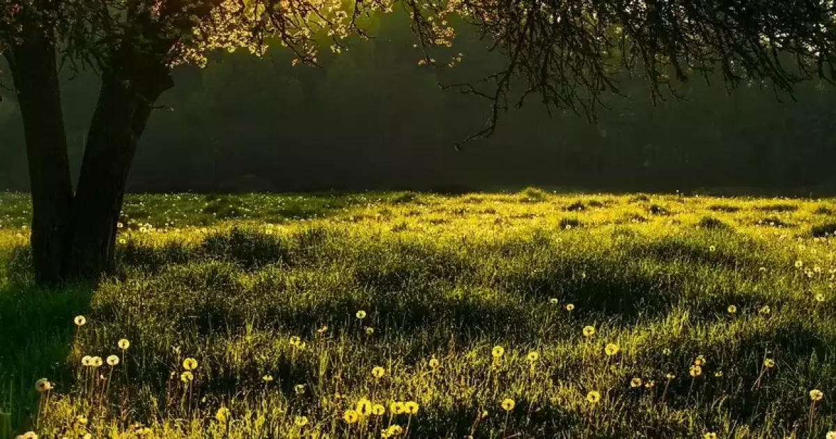 Україну накриє аномальна спека до +39°C: коли чекати злив у Києві?