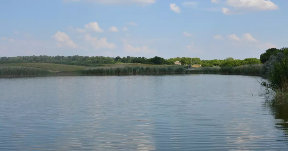 Таємниця водойми на Київщині: з води дістали тіло невідомого чоловіка