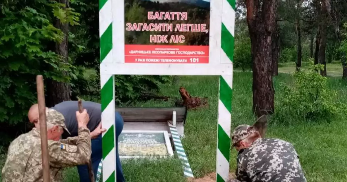 Зелений оазис Києва: чим вабить Дарницьке лісопаркове господарство