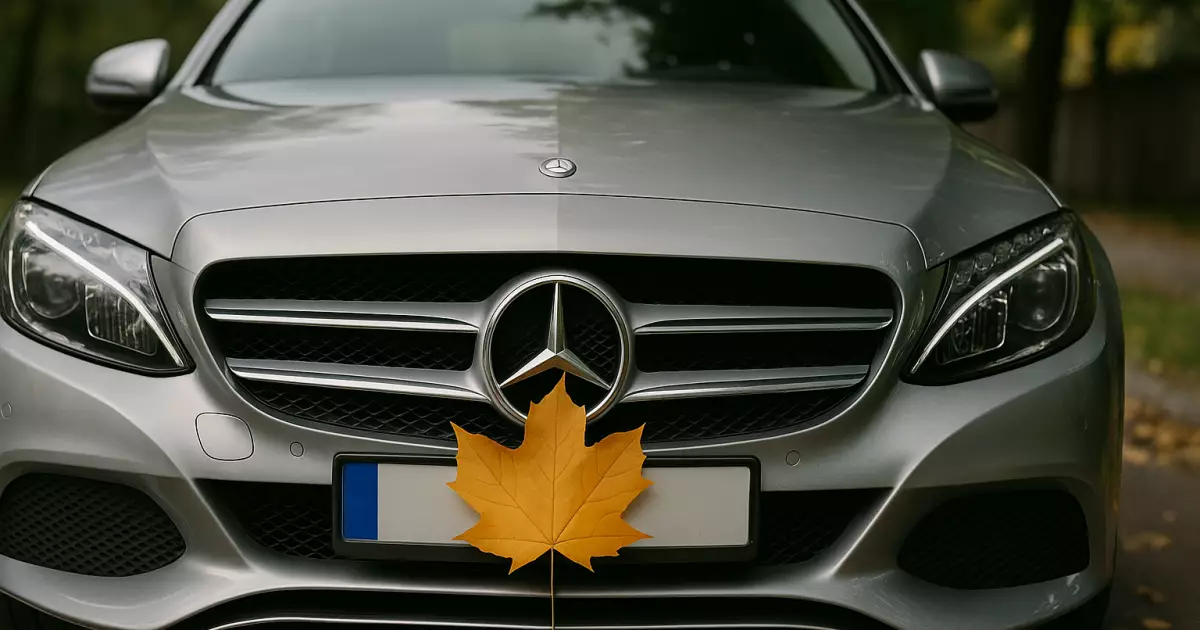 Штраф за креатив: у Борисполі водій Mercedes закрив номер листком з дерева
