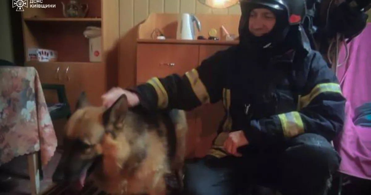Не лише люди: рятувальники у Бучі визволили собаку з-під завалів після обстрілу