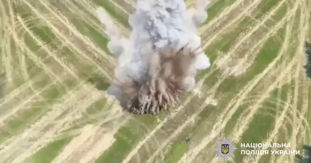 Вибухотехніки знешкодили боєзаряд безпілотника у Броварському районі