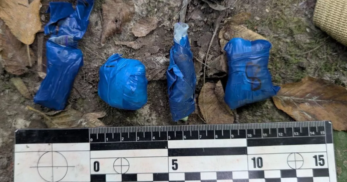 У Голосіївському парку затримали наркоділка з 79 згортками «Альфа-PVP»