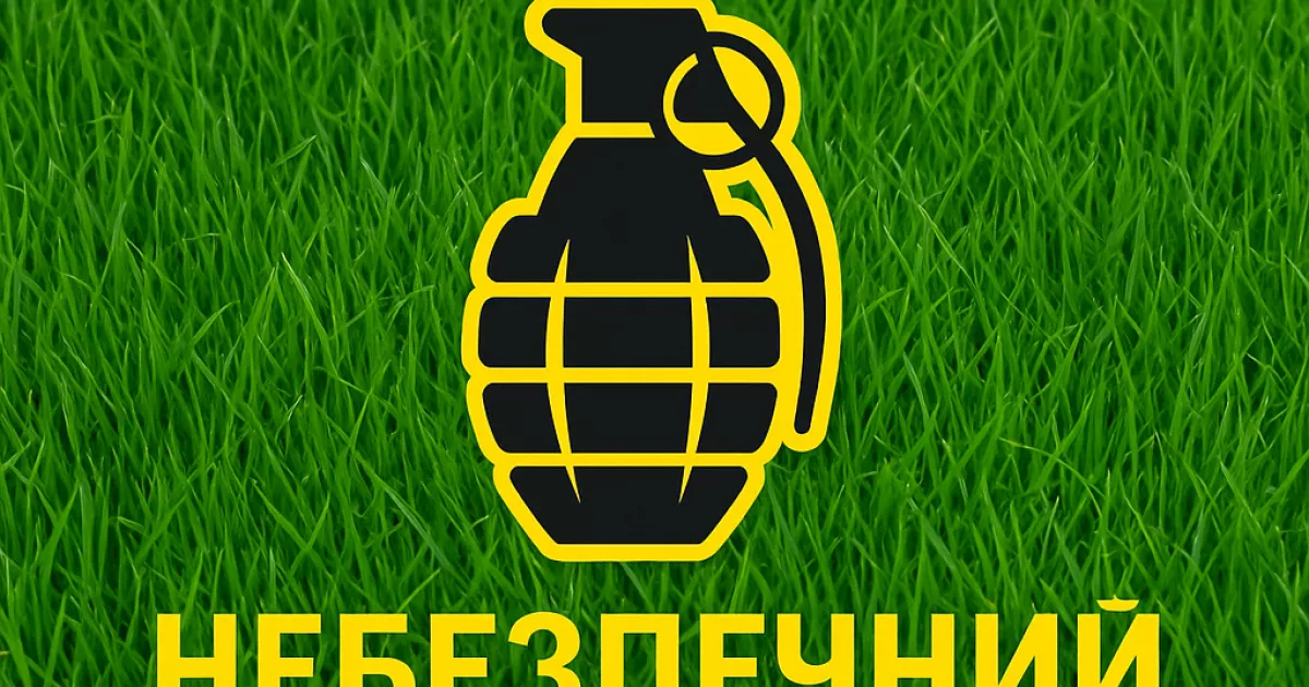 В Ірпені чоловік натрапив на гранати під час косіння трави