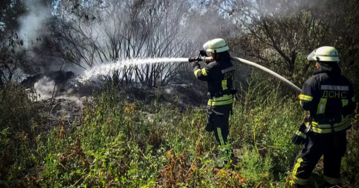 На Київщині за добу зафіксували 26 пожеж в екосистемах