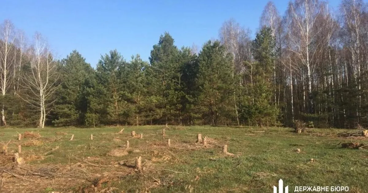 На Київщині інженер «Лісів України» допустив незаконну вирубку дерев на 1,1 млн грн